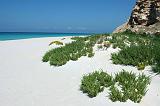 IMG_4867 Shuabb, Socotra